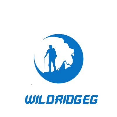 My Store